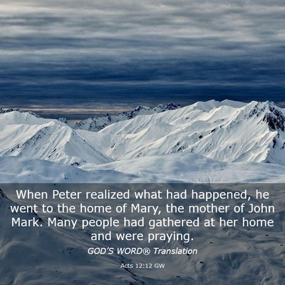 Picture 03 - Acts 12:12 GW - When Peter realized what had happened, he went to - Bible Verse Picture