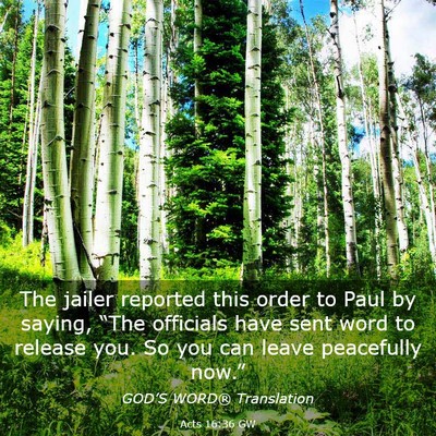 Picture 03 - Acts 16:36 GW - The jailer reported this order to Paul by saying, - Bible Verse Picture