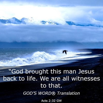Picture 03 - Acts 2:32 GW - “God brought this man Jesus back to life. We - Bible Verse Picture