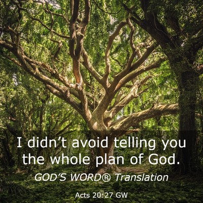 Picture 03 - Acts 20:27 GW - I didn’t avoid telling you the whole plan of - Bible Verse Picture