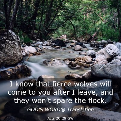 Picture 03 - Acts 20:29 GW - I know that fierce wolves will come to you after - Bible Verse Picture