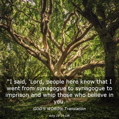 Picture 03 - Acts 22:19 GW - “I said, ‘Lord, people here know that I went - Bible Verse Picture