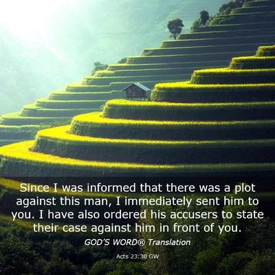 Picture 03 - Acts 23:30 GW - Since I was informed that there was a plot - Bible Verse Picture