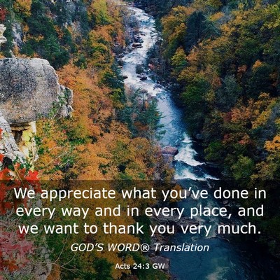 Picture 03 - Acts 24:3 GW - We appreciate what you’ve done in every way and - Bible Verse Picture