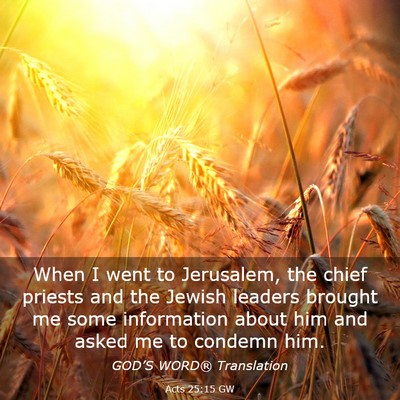 Picture 03 - Acts 25:15 GW - When I went to Jerusalem, the chief priests and - Bible Verse Picture