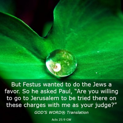 Picture 03 - Acts 25:9 GW - But Festus wanted to do the Jews a favor. So he - Bible Verse Picture