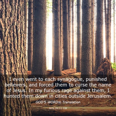 Picture 03 - Acts 26:11 GW - I even went to each synagogue, punished - Bible Verse Picture