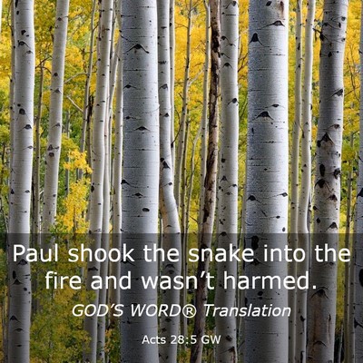 Picture 03 - Acts 28:5 GW - Paul shook the snake into the fire and wasn’t - Bible Verse Picture