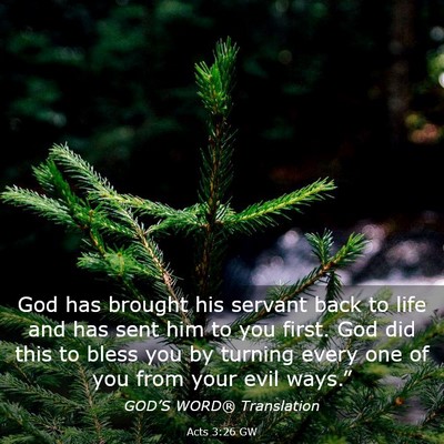 Picture 03 - Acts 3:26 GW - God has brought his servant back to life and has - Bible Verse Picture