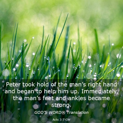Picture 03 - Acts 3:7 GW - Peter took hold of the man’s right hand and - Bible Verse Picture
