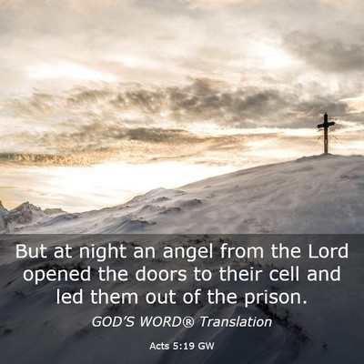 Picture 03 - Acts 5:19 GW - But at night an angel from the Lord opened the - Bible Verse Picture