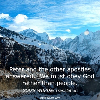 Picture 03 - Acts 5:29 GW - Peter and the other apostles answered, “We must - Bible Verse Picture