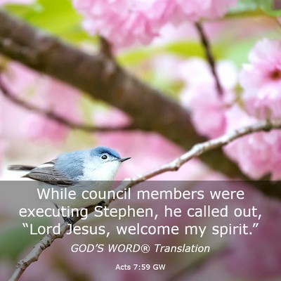 Picture 03 - Acts 7:59 GW - While council members were executing Stephen, he - Bible Verse Picture