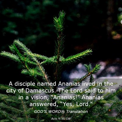Picture 03 - Acts 9:10 GW - A disciple named Ananias lived in the city of - Bible Verse Picture