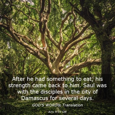 Picture 03 - Acts 9:19 GW - After he had something to eat, his strength came - Bible Verse Picture