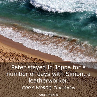 Picture 03 - Acts 9:43 GW - Peter stayed in Joppa for a number of days with - Bible Verse Picture