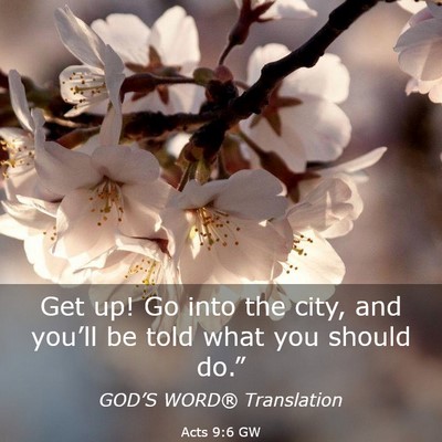 Picture 03 - Acts 9:6 GW - Get up! Go into the city, and you’ll be told - Bible Verse Picture