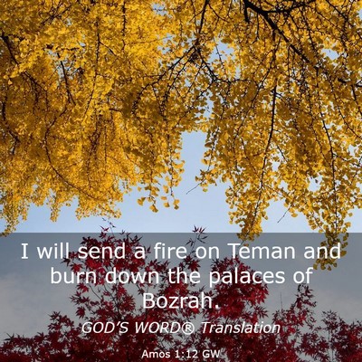 Picture 03 - Amos 1:12 GW - I will send a fire on Teman and burn down the - Bible Verse Picture