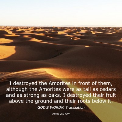 Picture 03 - Amos 2:9 GW - I destroyed the Amorites in front of them, - Bible Verse Picture
