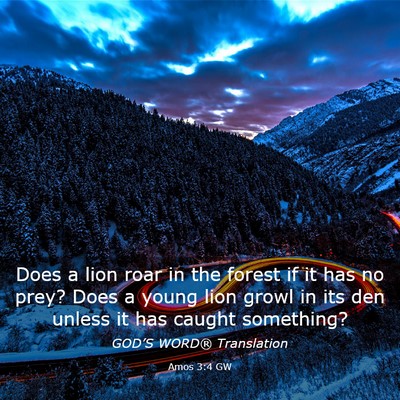 Picture 03 - Amos 3:4 GW - Does a lion roar in the forest if it has no prey? - Bible Verse Picture