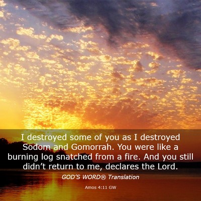 Picture 03 - Amos 4:11 GW - I destroyed some of you as I destroyed Sodom and - Bible Verse Picture