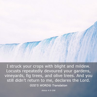 Picture 03 - Amos 4:9 GW - I struck your crops with blight and mildew. - Bible Verse Picture