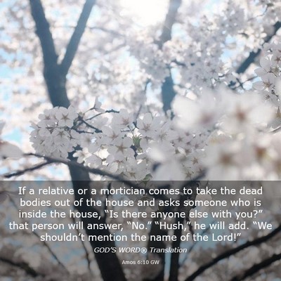 Picture 03 - Amos 6:10 GW - If a relative or a mortician comes to take the - Bible Verse Picture