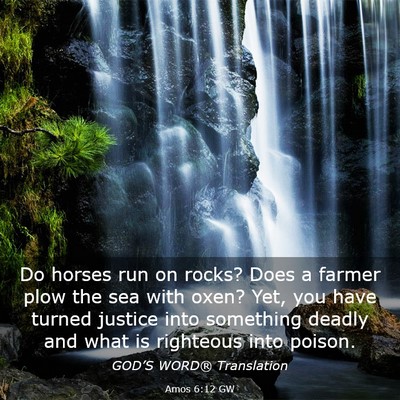 Picture 03 - Amos 6:12 GW - Do horses run on rocks? Does a farmer plow the - Bible Verse Picture