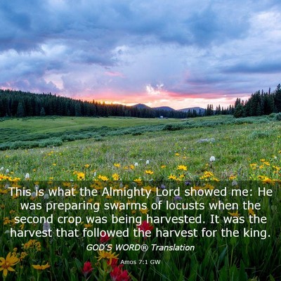 Picture 03 - Amos 7:1 GW - This is what the Almighty Lord showed me: He was - Bible Verse Picture