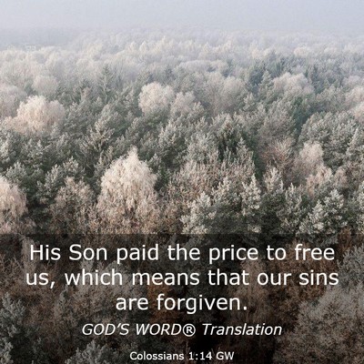 Picture 03 - Colossians 1:14 GW - His Son paid the price to free us, which means - Bible Verse Picture