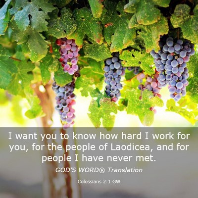Picture 03 - Colossians 2:1 GW - I want you to know how hard I work for you, for - Bible Verse Picture