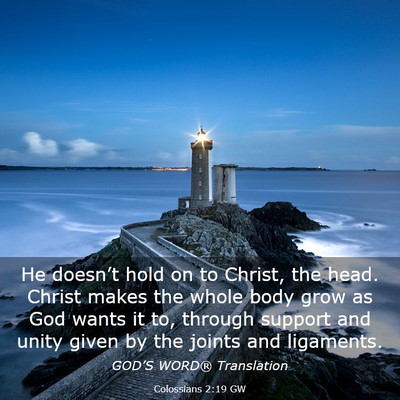 Picture 03 - Colossians 2:19 GW - He doesn’t hold on to Christ, the head. Christ - Bible Verse Picture