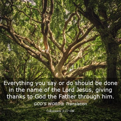 Picture 03 - Colossians 3:17 GW - Everything you say or do should be done in the - Bible Verse Picture