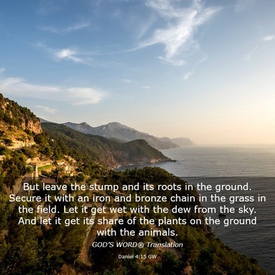 Picture 03 - Daniel 4:15 GW - But leave the stump and its roots in the ground. - Bible Verse Picture
