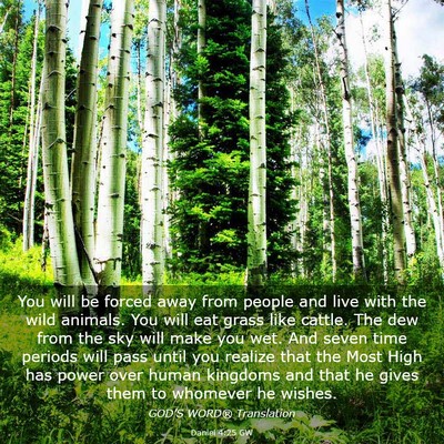 Picture 03 - Daniel 4:25 GW - You will be forced away from people and live with - Bible Verse Picture