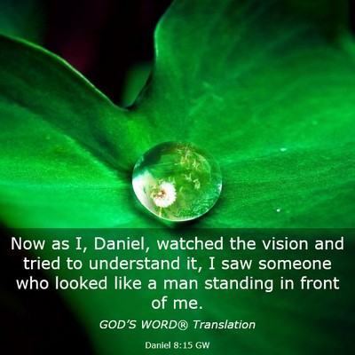 Picture 03 - Daniel 8:15 GW - Now as I, Daniel, watched the vision and tried to - Bible Verse Picture