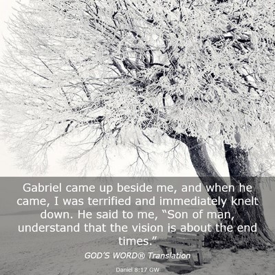 Picture 03 - Daniel 8:17 GW - Gabriel came up beside me, and when he came, I - Bible Verse Picture