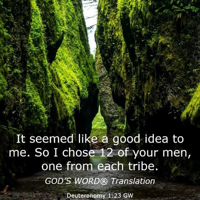 Picture 03 - Deuteronomy 1:23 GW - It seemed like a good idea to me. So I chose 12 - Bible Verse Picture