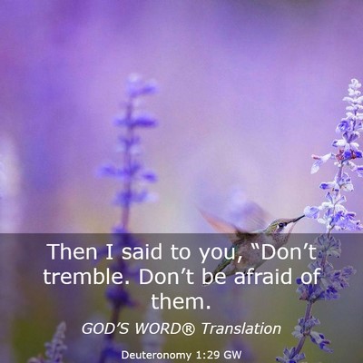 Picture 03 - Deuteronomy 1:29 GW - Then I said to you, “Don’t tremble. Don’t - Bible Verse Picture