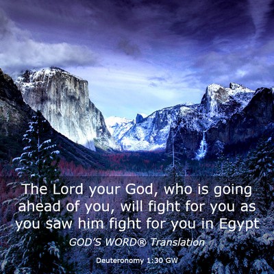 Picture 03 - Deuteronomy 1:30 GW - The Lord your God, who is going ahead of you, - Bible Verse Picture