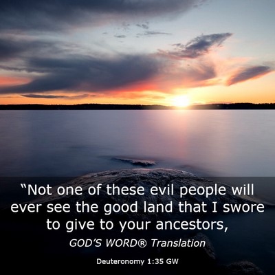 Picture 03 - Deuteronomy 1:35 GW - “Not one of these evil people will ever see the - Bible Verse Picture