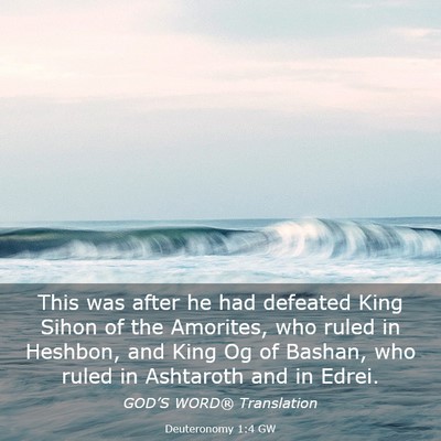 Picture 03 - Deuteronomy 1:4 GW - This was after he had defeated King Sihon of the - Bible Verse Picture