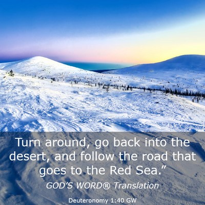 Picture 03 - Deuteronomy 1:40 GW - Turn around, go back into the desert, and follow - Bible Verse Picture