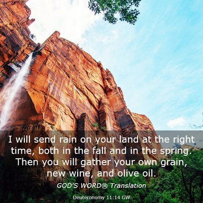 Picture 03 - Deuteronomy 11:14 GW - I will send rain on your land at the right time, - Bible Verse Picture