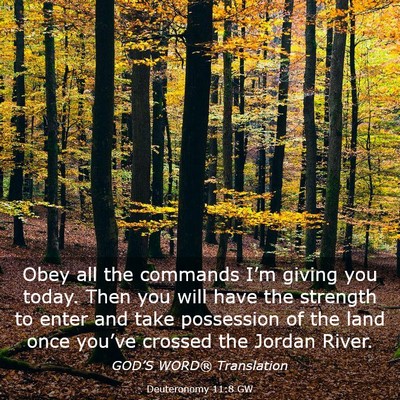 Picture 03 - Deuteronomy 11:8 GW - Obey all the commands I’m giving you today. - Bible Verse Picture