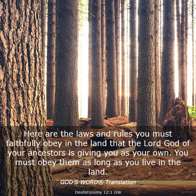 Picture 03 - Deuteronomy 12:1 GW - Here are the laws and rules you must faithfully - Bible Verse Picture
