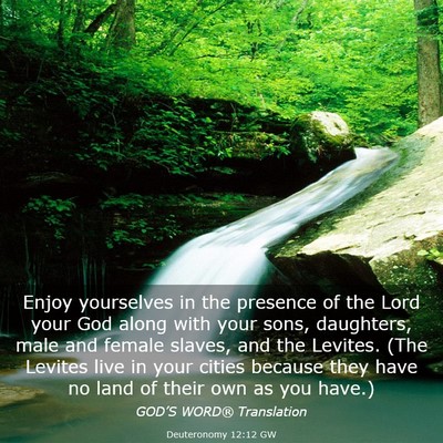 Picture 03 - Deuteronomy 12:12 GW - Enjoy yourselves in the presence of the Lord your - Bible Verse Picture