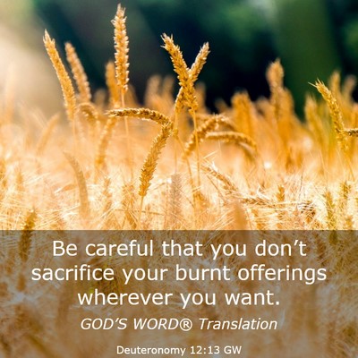 Picture 03 - Deuteronomy 12:13 GW - Be careful that you don’t sacrifice your burnt - Bible Verse Picture