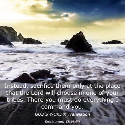 Picture 03 - Deuteronomy 12:14 GW - Instead, sacrifice them only at the place that - Bible Verse Picture