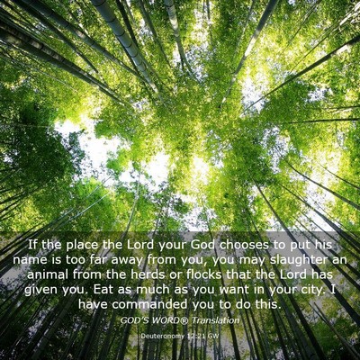 Picture 03 - Deuteronomy 12:21 GW - If the place the Lord your God chooses to put his - Bible Verse Picture